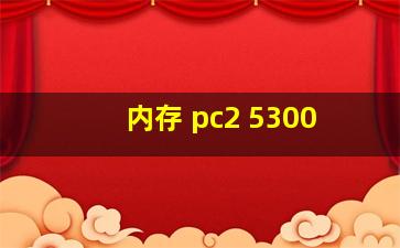 内存 pc2 5300